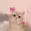 ntsum.yaj7