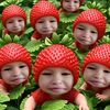 netnapaa567