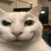 yuzi_37