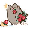 kilsmip_