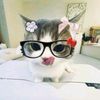 emili_chan672013