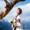 liang.jie81