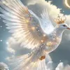 user7738224017226
