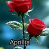 april73066
