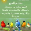 user6115595133686