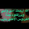 user559608838087