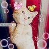 qelsya_zhean