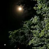 b1_21w