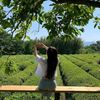 khin.hninwai11