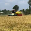 Toàn sì tủn 🌾🇻🇳