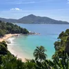 eddi_goes_tropical