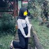 sastecu12