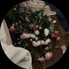 xo_sh225