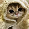 stephanie.nicole489