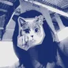 krish_1266