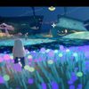 starsluv11