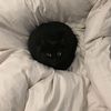 rahaf_127654