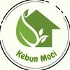 Kebun Moci