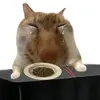 lryehx