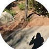 travel_muffin0