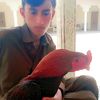 zohaib.kiyani735