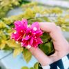 nupur.zaman3