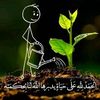 user2932751912278