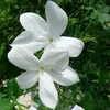 user8826152015186