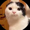 caochienok