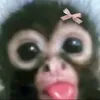 corina_021