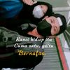 warniati_217