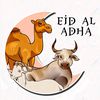 nur.baiti286