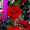 joy.sarkar047