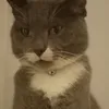 georgesp.4