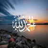 user8759554118811