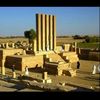 najesalh318