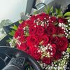 user9491926536951