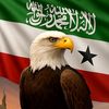 sadaam.abdi.siciid