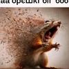 mamama_725