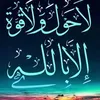 user9611699444723