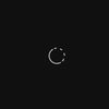 _idst