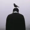 sk_nr15