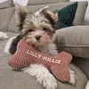 lillythebiroyorkie