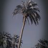 user5681440114788