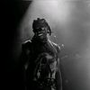 d.m.v._sador
