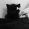 sadgirly91