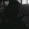 rare.is.von.64