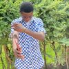 userfredro