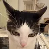 ĐQT