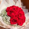 abri.abir5